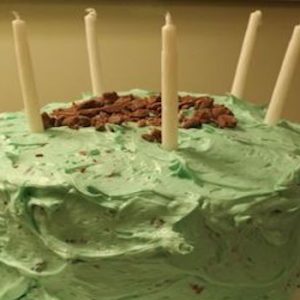 Mint Chocolate Chip Cake